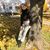 Christina Erickson's profile image