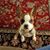 Karen Parker's profile image