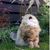 Cindy McKenzie's profile image