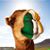 Christine Lynn's profile image