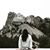Vivian Younes's profile image
