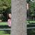 Janet Bloomquist Schwartz's profile image