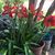 Maggie Rivera's profile image