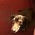 Kathy Richardson's profile image