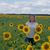 Mariya Zatirka's profile image