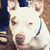 Susan Durrenberger's profile image