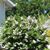 Donna Laughlin's profile image