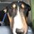 Leah Lindsey Jackson's profile image