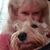 Karen Thomas Parks's profile image