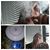 Matthew Hults's profile image