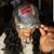 Lainie Cudahy's profile image