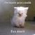 Corinne Dauphin's profile image