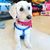 Susan Brown Bowen's profile image