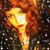 Crystal Tremer's profile image
