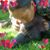 Robyn Aguesseau's profile image