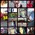 Shannon Treide's profile image