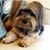 Jennifer Ayers Maslanka's profile image