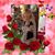Mary Kelley's profile image