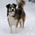 Sharon Fitch Scanlon's profile image