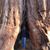 Lori Beth Taylor's profile image