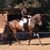 Charlotte Demblewski Rice's profile image