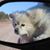 Sarah Robertson's profile image
