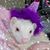 Diana Abeldt Ruble's profile image