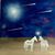 Judith Lea Perkins's profile image