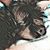 Tony Koontz's profile image