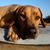 Christopher L Folsom's profile image