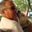 James Jim Ed Neeley's profile image
