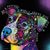 Suzanne Gosetti Ashland's profile image