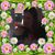 Michael Reinhold's profile image