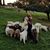 Nora Kravis's profile image