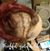 Joyce Walker Chester's profile image
