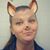 Tracey Hayner's profile image
