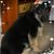 Janet Phillips Jones's profile image