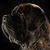 Tim Pearson's profile image