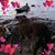 Pat Major's profile image
