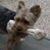 Stephen Gault's profile image