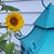 Deb Byam Slusser's profile image