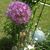 Denise Cramer's profile image