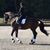 Corinna Scheller Fleming's profile image