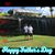 Cody Allen Mckinley's profile image