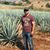 Felipe Amaro's profile image