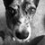 Pat Walz's profile image
