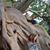 Lianne Carisa Armitage's profile image