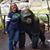 Linda Keeney's profile image