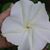Mary Brewer's profile image