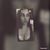 Maria Proa's profile image